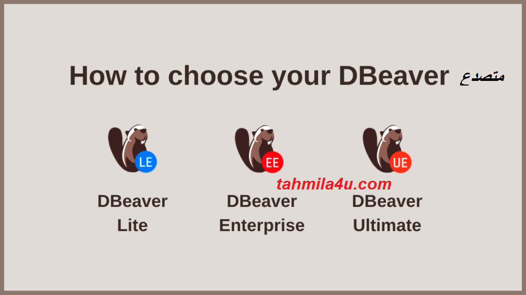 DBeaver متصدع